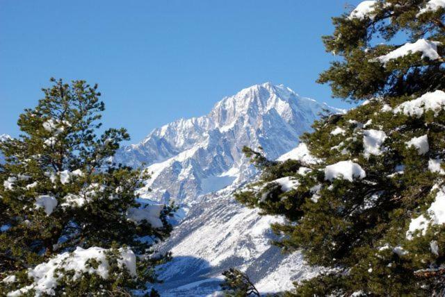 Appartamento Monte Bianco La Salle Dış mekan fotoğraf